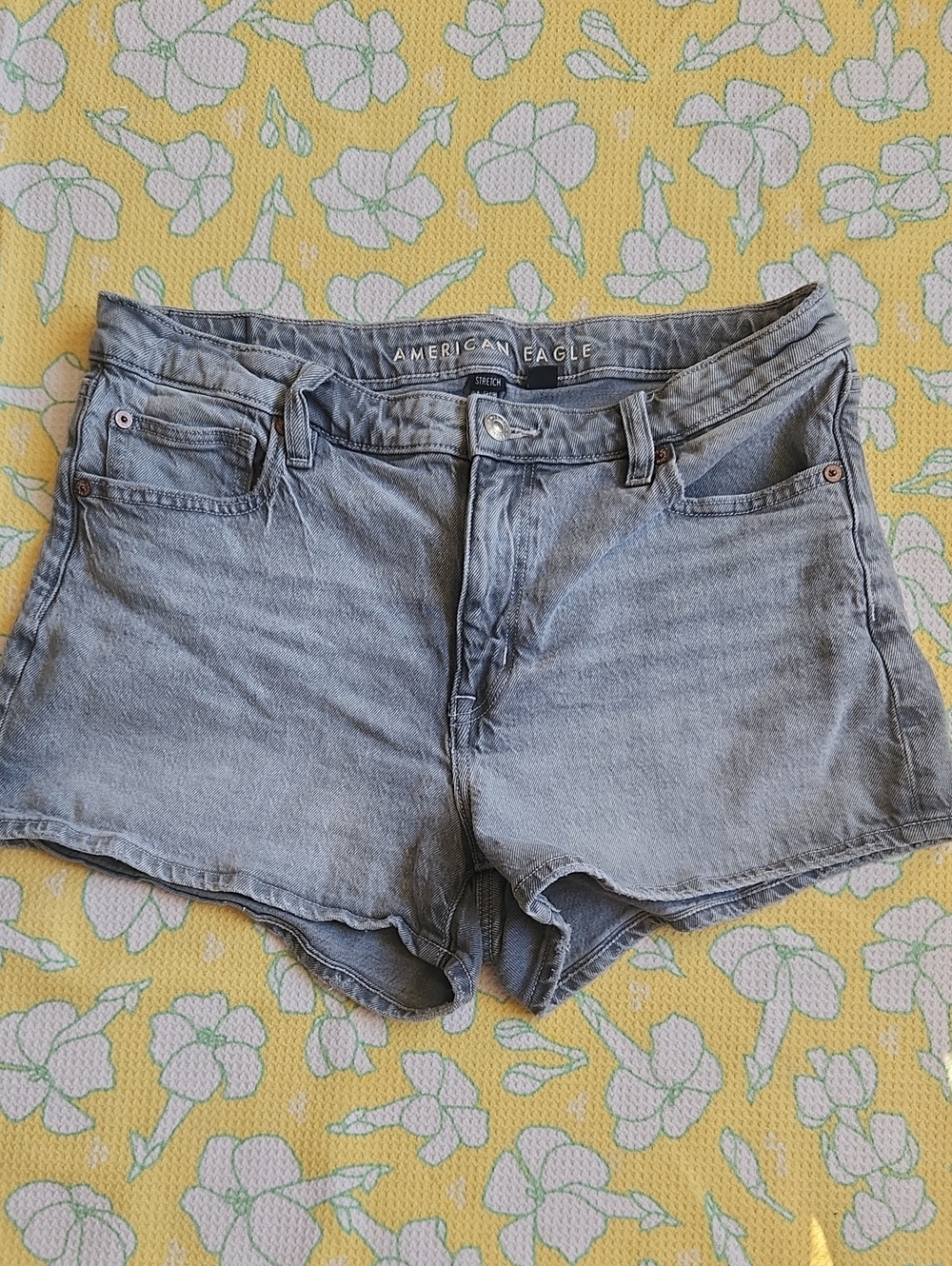 American Eagle Outfitters Light Gray Shorts